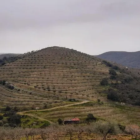 منزل ريفي Casa De Canelas - Refugio Terroir