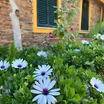 Country house Casa De Canelas - Refugio Terroir