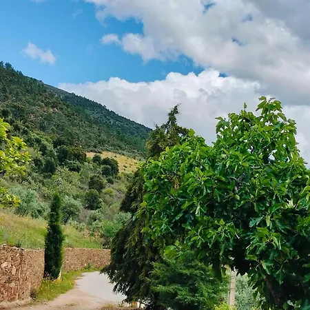 Casa De Canelas - Refugio Terroir Country house