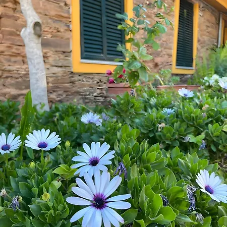 乡村民宿 Casa De Canelas - Refugio Terroir