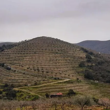 乡村民宿 Casa De Canelas - Refugio Terroir Acoreira