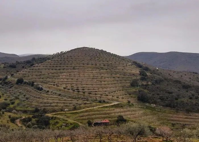 Landsted Casa De Canelas - Refugio Terroir