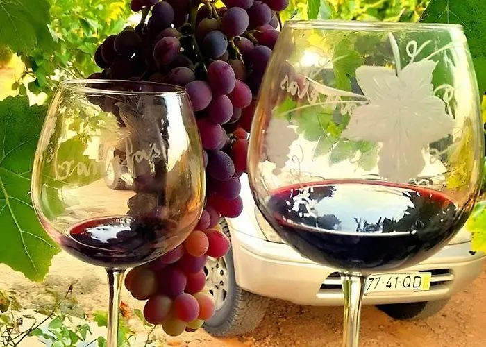 Casa De Canelas - Refugio Terroir