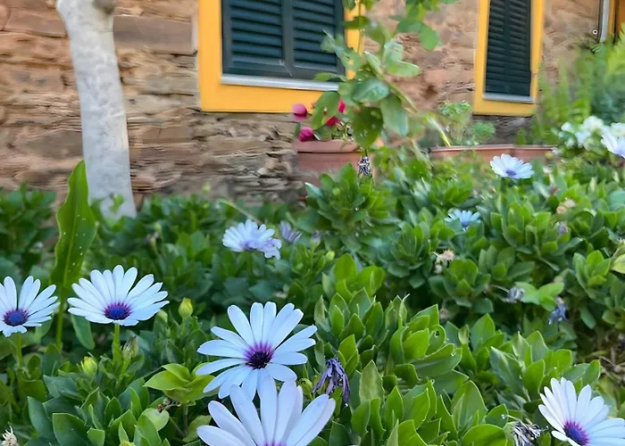 Landsted Casa De Canelas - Refugio Terroir *