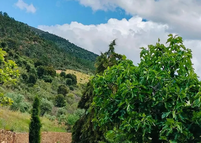 Casa De Canelas - Refugio Terroir